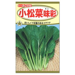 トーホク 小松菜 味彩 種 家庭菜園 プランター栽培 ツケナ 漬け菜 コマツナのタネ 種子 こまつな たね 緑黄色野菜