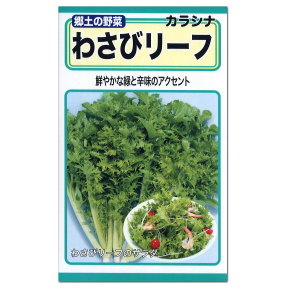 トーホク わさびリーフ 種 わさび菜 漬け菜 ツケナ 家庭菜園 ワサビナの種 たね タネ 種子 野菜 栽培 プランター栽培