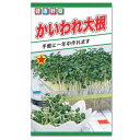 トーホク かいわれ大根 種 家庭菜園 スプラウト かいわれだいこんのタネ カイワレ 種子 たね 健康 自由研究 緑黄色野菜 野菜 初心者