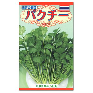 トーホク パクチー ハーブ 種 セリ科 一年草 家庭菜園 コリアンダー 香菜 タネ たね 種子 料理用 ハーブ HERB シャンツァイ コエンドロ