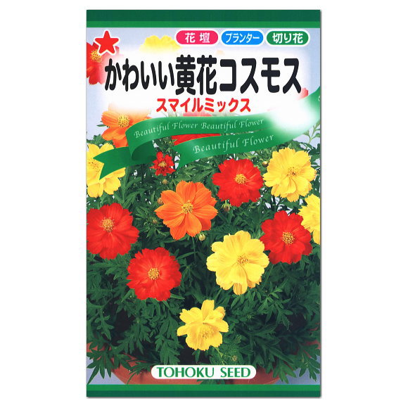 楽天ガーデニングと雑貨の菜園ライフトーホク かわいい黄花コスモス スマイルミックス 種 花壇 プランター 切花 たね 種子 タネ ガーデニング