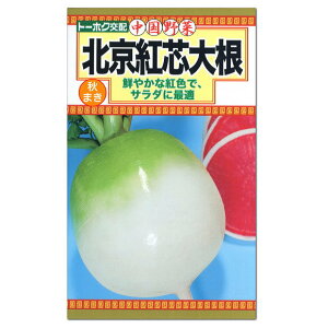 トーホク 北京紅芯大根 種 秋まき 家庭菜園 野菜栽培 だいこん たね ダイコンのタネ