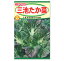 トーホク 三池たか菜 種 家庭菜園 野菜 栽培 ツケナ 高菜漬 タカナ たかなのタネ たね 種子 165円