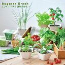 GR|bgňĂ؍͔|Zbg Bagasse Green oKXO[ 킢 ؍͔|Zbg ƂňĂ ƒ؉