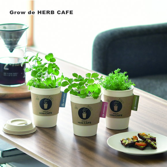 育てるカフェ Grow de HERB CAFE ハーブ栽培キット D985 インテリアグリーン おしゃれ かわいい 栽培キット マグカッ…