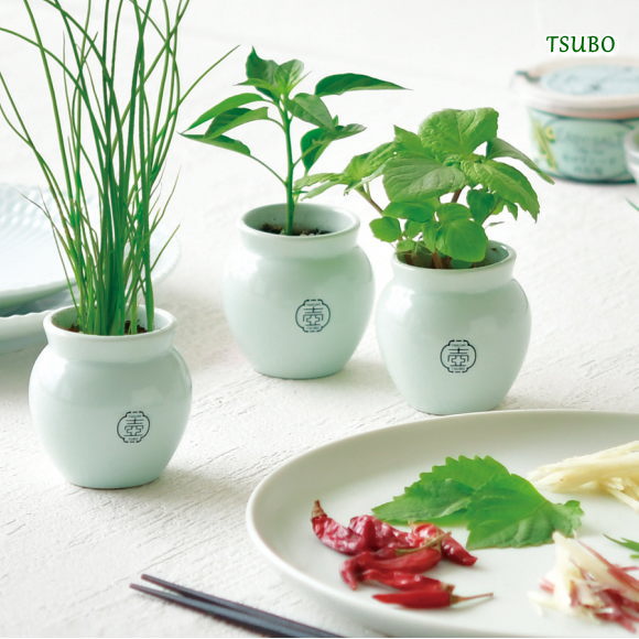 TSUBO 野菜栽培セット しそ 唐辛子 ねぎ GD998 選べる3種類 インテリア おしゃれ かわいい ガーデニング 家庭菜園 と…