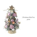 職人さんがひとつひとつ丁寧に愛情をかけ、 手作りで作られています。 そのため、写真と色や形が 多少異なる場合があります。 予めご了承ください。クリスマスを素敵に演出！ CHRISTMAS MINI TREE クリスマス ナチュラルツリーオブジェ ピンクサーカス 30cm 天然素材と造花、木の実をたっぷり使用し アレンジされた可愛いクリスマスミニツリーです。 台座とトップスターは木製です！ リビングや玄関、オフィスに飾るだけで、クリスマスの雰囲気もUP☆ サイズ：高さ約30cm 　製品仕様 　サイズ： 直径15cm×高さ30cm 　材質： 天然素材・ポロプロピレン・木・ワイヤー・発泡スチロール・ 　　　　　ポリ塩化ビニール・綿・プラスチック オフィスや玄関にも！手軽にクリスマスを楽しみましょう♪ ミニツリー　30cm ミニツリー　30cm ミニツリー　30cm ミニツリー　39cm ミニツリー　39cm ミニツリー　39cm その他のミニツリーはこちらから