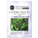 新江戸川菜豆 つるなしインゲン 種 A717 有機種子 固定種 グリーンフィールドプロジェクト 家庭菜園 オーガニック 有機栽培 たね タネ 丸さや すじなし