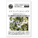 ラブ イン ア ミスト ニゲラ 種 A554 有機種子 固定種 グリーンフィールドプロジェクト 家庭菜園 オーガニック 有機栽培 たね タネ ドライフラワー