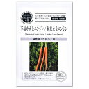 ニンジン 万福寺大長ニンジン 鮮紅大長ニンジン 種 A726 有機種子・固定種 グリーンフィールドプロジェクト 家庭菜園 オーガニック 有機栽培 キャロット 人参 にんじん たね タネ