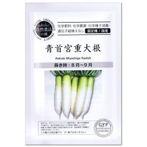 青首宮重大根 種 有機種子 固定種 A260 グリーンフィールドプロジェクト プランター栽培 野菜栽培 家庭菜園 みやしげだいこん ダイコン 尾張大根 タネ たね 種子