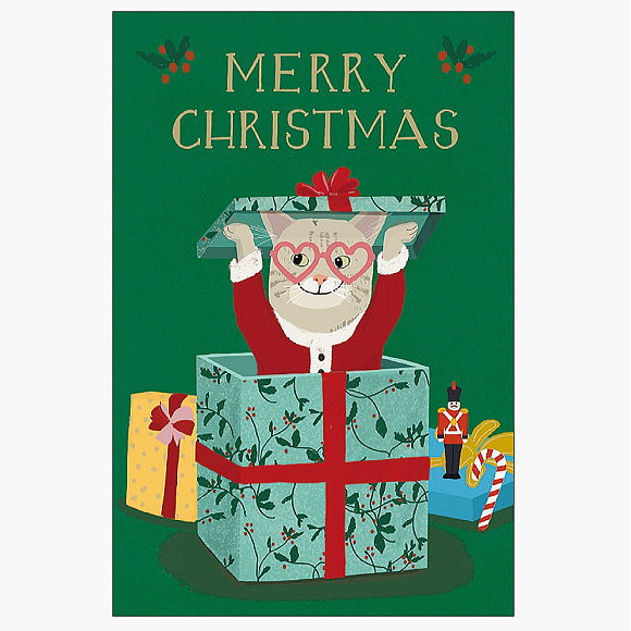 クリスマス ハンナメリン ポストカード ギフトボックス XC-121055 アートプリントジャパン クリスマスカード クリスマス飾り サンタ ねこ ネコ 猫 冬 人気 ギフト お洒落 豪華 大人 子ども プレゼント おしゃれ christmas card