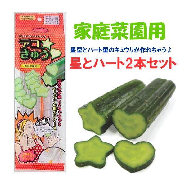 きゅうりの型 デコきゅう ハート＆星 2本セット 家庭菜園 きゅうり キュウリ