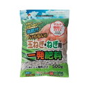 　朝日 玉ねぎ・ねぎ用 一発肥料 500g 収穫まで効果が持続！追肥のいらない肥料！ 酸一度施せば収穫まで効果が持続する玉ねぎ・ねぎ用の肥料です。 肥料効果のあらわれる時期を調整した肥料の他、 4種類の肥料をバランスよく配合しました。 追肥がいらないからマルチ栽培におススメです。 堆肥成分を含むため土壌改良効果が期待でき、 有機原料由来のアミノ酸が旨味を引き出します。 保存に便利なチャック付きパッケージです。 この1袋で玉ねぎ苗約100株分お使いいただけます。 ☆適用植物☆ 　玉ねぎ・ねぎ ご使用方法 　・畝を作り栽培1週間前に、適量を土壌に均一に混ぜ込んでください 　・マルチを張り、植え穴を開け、苗を植え付けます 　・1平方メートルあたり、玉ねぎの場合100〜130g、 　　春植ねぎ(夏ねぎ)の場合160〜200g、 　　にんにくの場合150〜180gが目安です ※肥料を施しすぎると枯れる場合がありますので、ご注意ください &nbsp;■他の肥料はこちらから 容量 500g 成分量（％） チッソ(N)：17 リンサン（P)：10 カリ(K）：10