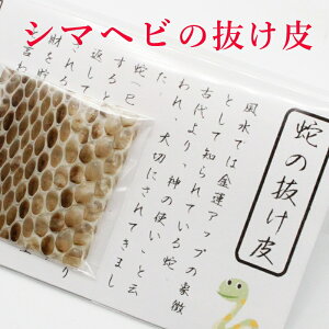 シマヘビの抜け皮 蛇の抜け殻 御守り開運グッズ 金運アップ 金運　財布 開運祈願 金運財布 長財布 財運 金運アップ祈願 金運UP祈願 風水 グッズ メンズ レディース お金が貯まる しろへび へび シロヘビ 縁起物