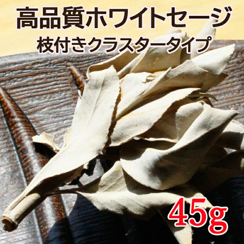 ホワイトセージ 45gパック 浄化用 カリフォルニア産 天然石 パワーストーン 空間 の浄化に ホワイトセージがおすすめ！
