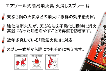 エアゾール式簡易消火具 火消しスプレー(2021年04月製造-使用期限2024年04月) (コンビニ受取可) (防災備蓄の倉庫番 災害対策本舗)