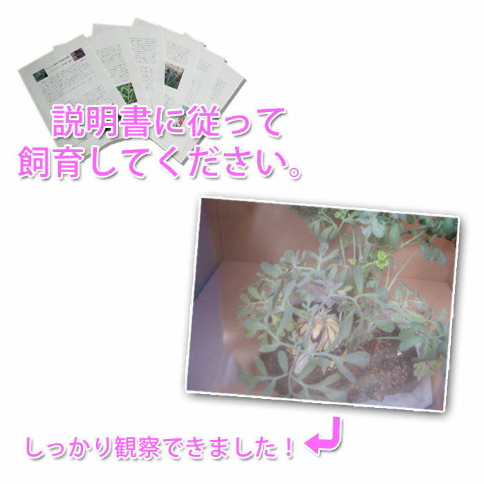 ��ͽ�������ۡھ��Ը����ۥ����ϥ��祦������񡦥�������˥��åȡ�ͽ������ۡ�Ǽ�������Բġۡڼ���Ǽ�ͳ����ۡڥ�����ĳ�ۡڻ��饻�åȡۡڶ���ۡڴѻ��ۡ�¾���ʤȤ�Ʊ���Բġۡ��̳�ƻ�����졦����ȯ���Բġ�