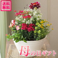 母の日 プレゼント かわいいお花がいっぱい！【2024年予約】...