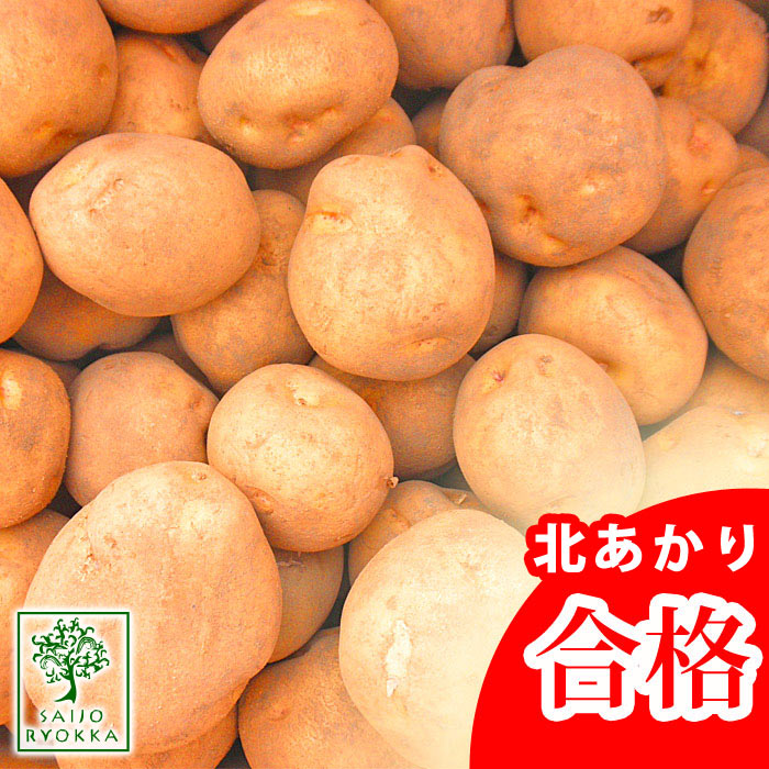 【エントリー＆3個購入で最大P20倍】じゃがいも 種芋 キタアカリ きたあかり 約1kg（充填時）【検査合格済】【春植えジャガイモ】【種】【北あかり】のサムネイル