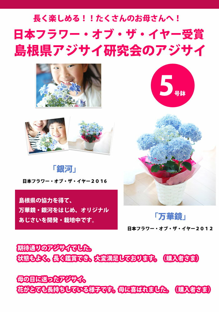 母の日 プレゼント アジサイ 紫陽花 万華鏡ブルー 鉢花ギフト プレゼント【送料無料・北海道沖縄東北発送不可】【ジャパンフラワーセレクション2012-2013受賞品種】【毎年楽しめる】【母の日】