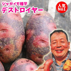 https://thumbnail.image.rakuten.co.jp/@0_mall/saijo-ryokka/cabinet/gazou8/ninkijyaga.jpg