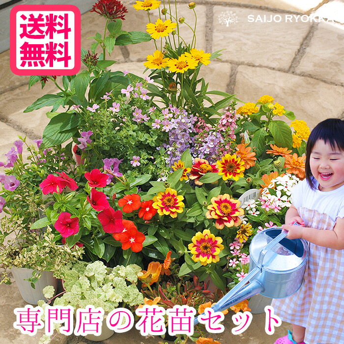 ＼☆楽天高レビュー☆／ 花苗セット ワンランク上 苗セット 15POT【苗セット】【ギフト】【花壇苗】【1000set以上の出荷実績】【おすすめ】【花苗福袋】送料無料【北海道・沖縄・東北発送不可】【ほかの商品との同梱不可 培養土1袋は同梱可】【春 夏 秋 冬】