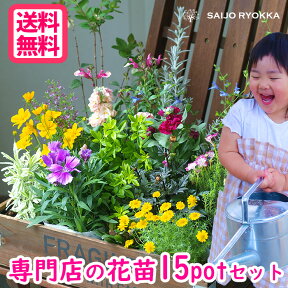 ＼☆楽天高レビュー☆／ 花苗セット 苗セット 15POT【苗セット】【ギフト】【花壇苗】【おすすめ】【福袋】送料無料【北海道・沖縄・東北発送不可】【ほかの商品との同梱不可 培養土1袋は同梱可】【春の花】【寄せ植えにも】【贈り物】【母の日対応不可】