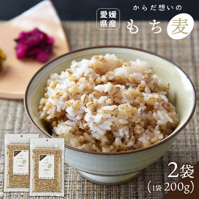 【送料無料】<からだ想いのもち麦 2袋 合計400g> もち麦 もちむぎ モチ麦 もち麦ごはん 麦飯 国産 だいしもち ダイシモチ 麦ごはん ごはん 雑穀 米 小分け ヘルシー 腸活 ダイエット 食物繊維 朝食 美味しい 普段使い 愛媛県 西条市 健康食品 プレゼント 敬老の日