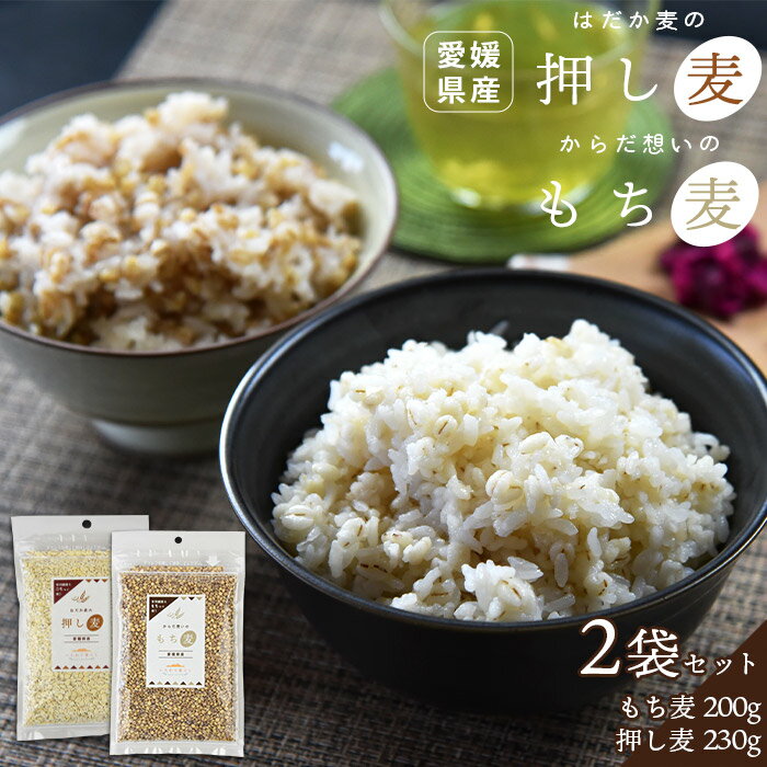 【送料無料】＜もち麦(200g)・押し麦(230g)セット 合計430g＞ ダイシモチ 押麦 もちむぎ もち麦ごはん 雑穀 米 おしむぎ だいしもち おし麦 小分け 食べ比べ セット 大麦 国産 愛媛県 はだか麦 特産 お中元 ヘルシー 食物繊維 ダイエット 腸活 朝食 美味しい 健康食品 国産