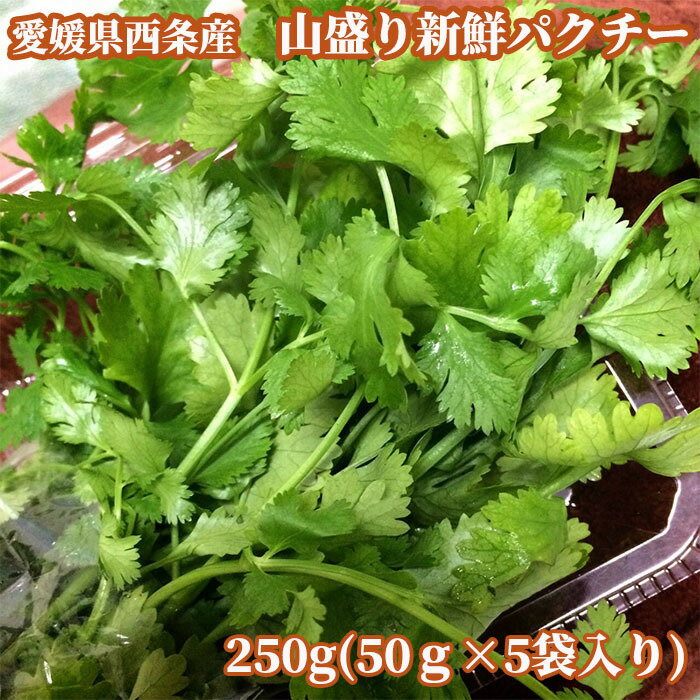 愛媛県西条市で育った 大盛り新鮮パクチー 250g
