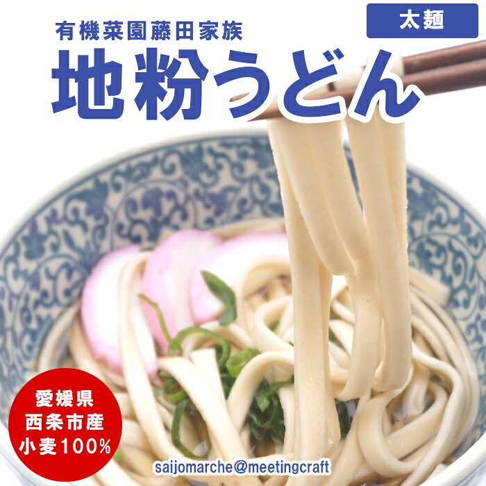 樂天商城 - ＜ただいま10％OFF＞国産小麦 愛媛産 有機菜園藤田家族の地粉うどん 太麺 250g(約3食分) 1～10袋