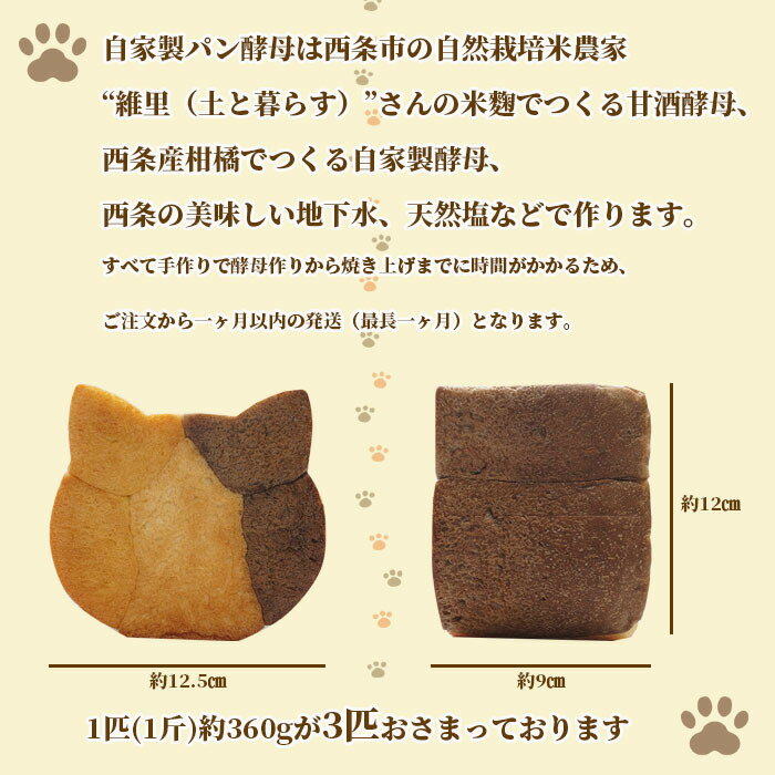 ＜おまかせ！自家製酵母でつくる 福福ねこ食パン3匹セット＞ ねこ ネコ 猫 食パン 3斤 セット 冷凍ぱん 冷凍パン 詰め合わせ 高級食パン 美味しいパン パン 冷凍 パンセット ぱん 美味しい かわいい プレゼント 猫好き 子供 喜ぶ 贈り物 誕生日 紫芋 さつま芋 かぼちゃ