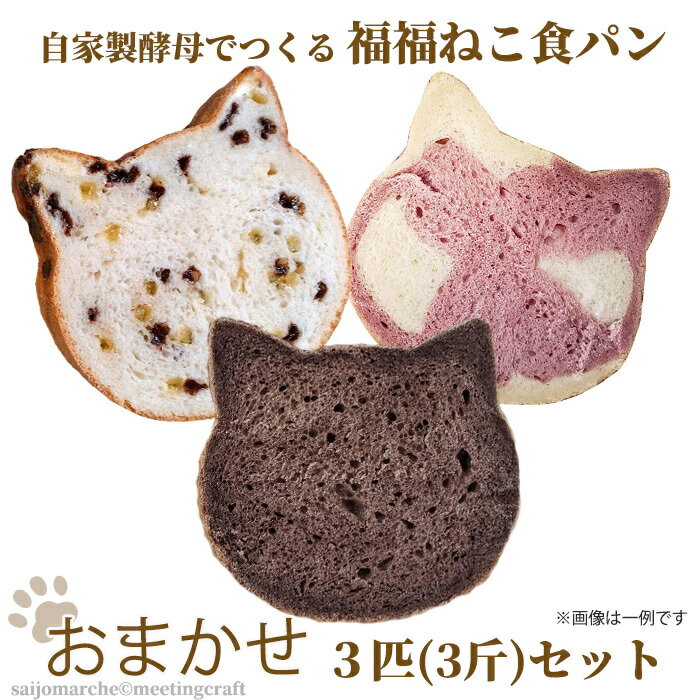 【のし対応可】<おまかせ!自家製酵母でつくる 福福ねこ食パン3匹セット>おやつ 朝食 高級食パン 3斤 セット 冷凍パン 詰め合わせ 食ぱん しょくぱん 冷凍 パンセット ぱん ネコ 猫型 美味しいパン 食パン かわいい プレゼント お取り寄せ 贈り物 ギフト 父の日 お中元
