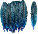 送料無料 15-20CM 天然モルモット羽 羽 DIY クラフト ジュエリー 衣類装飾用 30個パック 装飾用 DIY ジュエリー 羽シャワー フェザーシャワー...