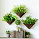 送料無料 インテリアグリーン 造花 フェイクグリーン 造花 人工 植物 壁掛け フェイクグリーン おしゃれ触媒加工 造花 ウォールアート インテリア 花 お花 ...