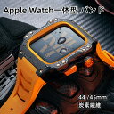 【10%OFFクーポン配布中】送料無料 apple watch バンド Apple Watch 9 バンド Apple Watch SE/4/5/6/7/8/S...