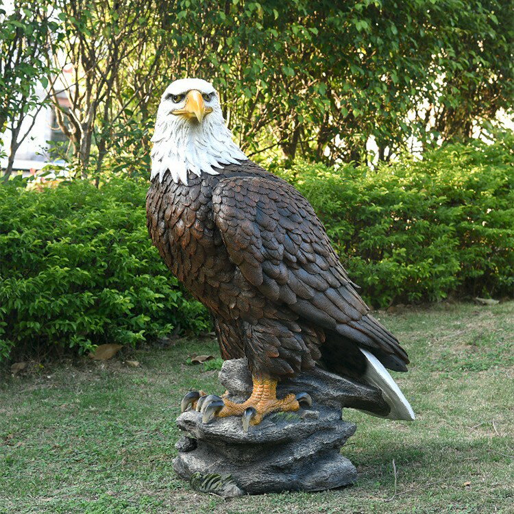楽天市場】イーグル 鳥の通販 楽天市場】イーグル 鳥の通販