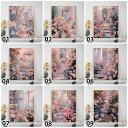 【 クーポン利用で10%OFF!! !】送料無料 数字油絵 人気オリジナルデザイン 父の日 油絵塗り絵 フレーム付 風景 花 バラ花 ボトルシップ 大人の塗り絵...