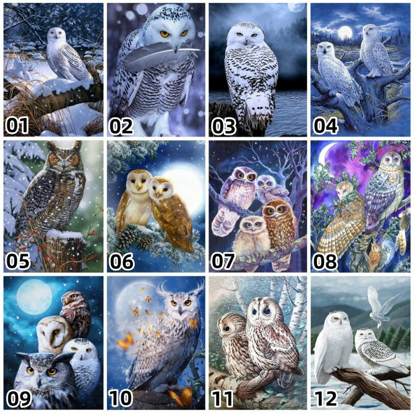 【10%OFFクーポン配布中】送料無料 刺繍キット 5D ダイヤモンドアート 動物 フクロウ ビーズ刺繍 初心..