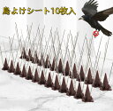 【クーポン利用で10%OFF】送料無料 ベランダ 鳥よけグッズ 鳥よけシート 透明 猫よけ 糞害対策 侵入防止 物干し竿 ベランダ 軒下 窓のひさし 窓際 鳥避...