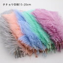 【クーポン利用で10%OFF!! 】オーストリッチ 30本15-20cm ダチョウ羽根を利用したマラボーとボア DIY 羽根装飾 羽 マラボー ステージ衣装 羽...
