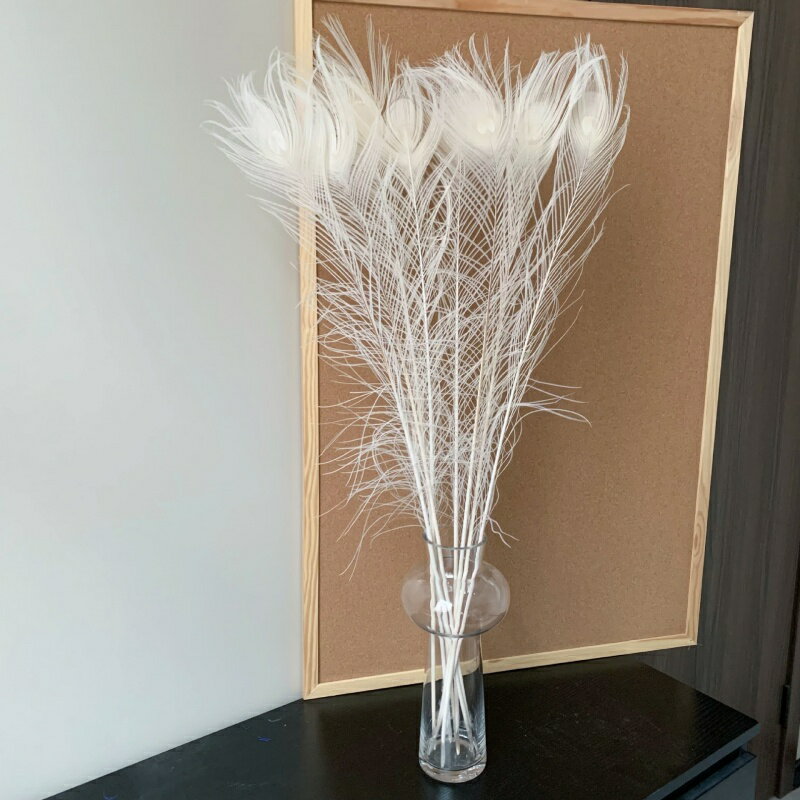 送料無料 白い孔雀の羽根 装飾用の羽根 孔雀の羽 80-90cm 25-30CM 25本 孔雀 羽根を利用したマラボーとボア DIY 羽根装飾 羽 マラボー ステージ衣装 羽根 フェザー マラボー ショール 手芸 ナチュラル素材 アクセサリーを飾る