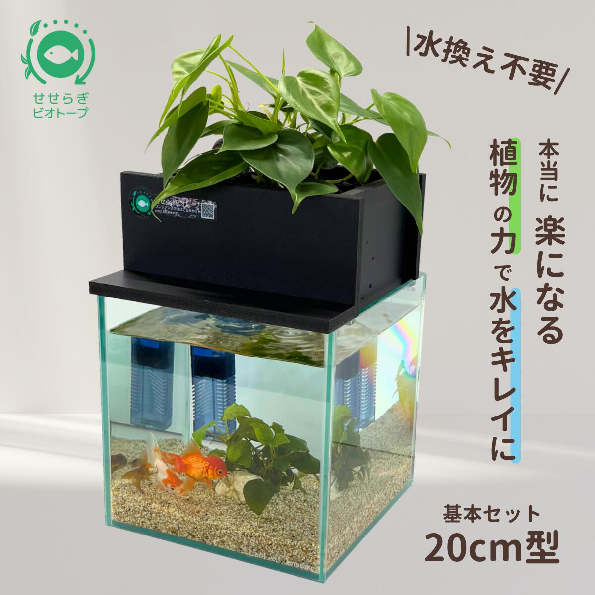 【TVで紹介されました】 水換え不要 水槽セット せせらぎビオトープ 約7L 20cm ガラス 水槽 おしゃれ めだか 金魚 ベタ 熱帯魚 初心者 おはよう日本 まちかど情報室 アクアリウム 入門セット インテリア 観葉植物 飼育セット 高評価 癒やし 加湿器 送料無料