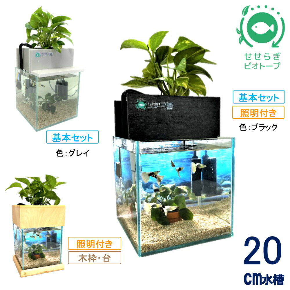 せせらぎビオトープ 水替え不要 20cm 水槽セット 約7L NHK おはよう日本 まちかど情報室 アクアポニクス インテリア 金魚 メダカ ベタ 熱帯魚 観葉植物 癒やし 水音 西条庭園 送料無料