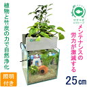 【TVで紹介されました】 せせらぎビオトープ 水替え不要 基本水槽セット 25cm 水槽用 15L 照明あり NHK おはよう日本 まちかど情報室 アクアポニクス インテリア 金魚 メダカ 熱帯魚 観葉植物 癒やし 水音 西条庭園 送料無料