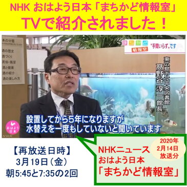 【TVで紹介されました】 せせらぎビオトープ ろ過器単体ポンプセット 90cm おしゃれ フィルター ポンプ 金魚 メダカ 熱帯魚 水替え 観葉植物 癒やし インテリア 西条庭園 アクアポニクス せせらぎビオトープ