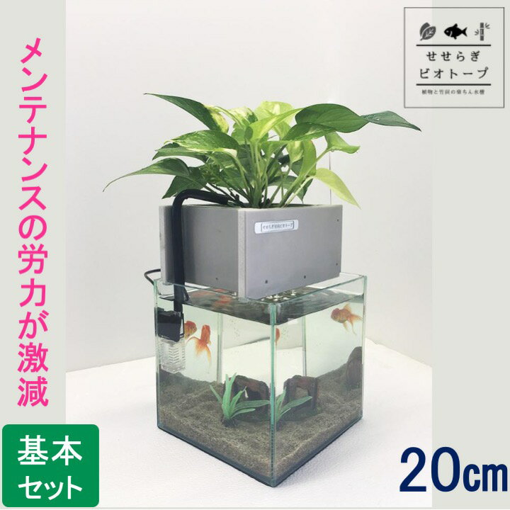 【TVで紹介されました】 せせらぎビオトープ 水替え不要 [基本水槽セット] 20cm 水槽用 8L [照明なし] NHK おはよう日本 まちかど情報室 アクアポニクス インテリア 金魚 メダカ 熱帯魚 観葉植物 癒やし 水音 西条庭園 送料無料