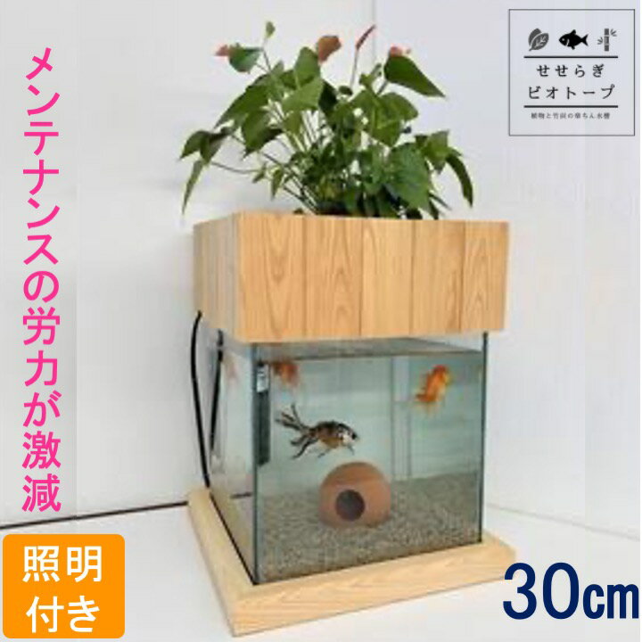 【TVで紹介されました】 せせらぎビオトープ 水替え不要 [木枠台セット] 30cm 水槽用 27L ...