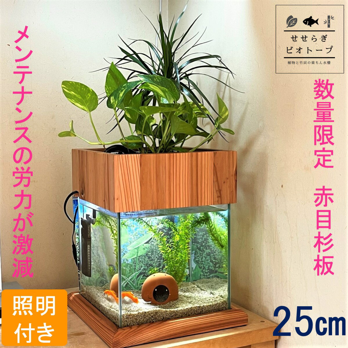 【TVで紹介されました】 せせらぎビオトープ 水替え不要 [木枠台セット 赤目杉板] 25cm 水槽 ...